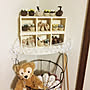 My Shelf/ron ちゃんの作品♡/minneのインテリア実例 - 2018-08-16 20:56:51 | RoomClip(ルームクリップ) 女性で、2KのMy Shelf/ron ちゃんの作品♡/minneについてのインテリア実例を紹介。