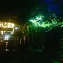 Entrance/薔薇の庭/パーゴラ/ガーデニング/玄関アプローチ/ウッドデッキ外側から…などのインテリア実例 - 2016-10-04 18:29:14 | RoomClip(ルームクリップ) 女性で、4LDKのEntrance/薔薇の庭/パーゴラ/ガーデニング/玄関アプローチ/ウッドデッキ外側から…などについてのインテリア実例を紹介。
