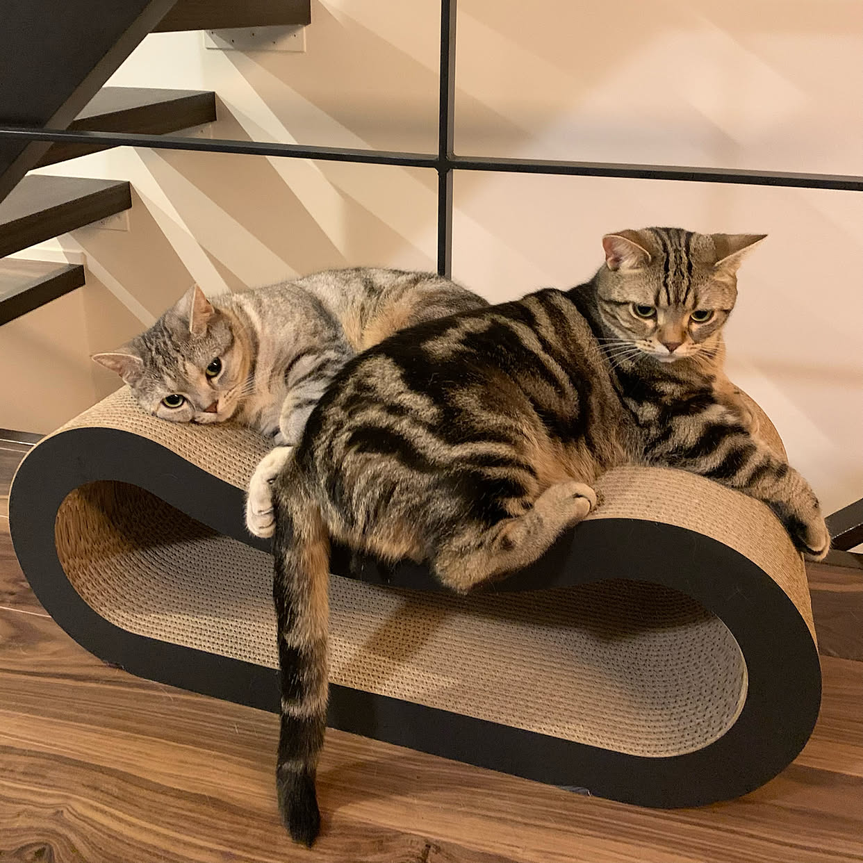 「オブジェとしても遊び道具としても優秀な、猫の爪とぎ」 by kaedeさん