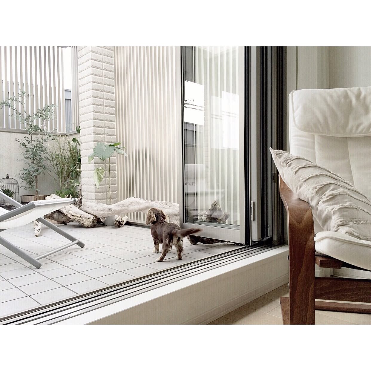 愛らしいペットと素敵なインテリアを楽しむ暮らし Roomclip Mag 暮らしとインテリアのwebマガジン 愛らしいペットと素敵なインテリアを楽しむ暮らし Roomclip Mag 暮らしとインテリアのwebマガジン