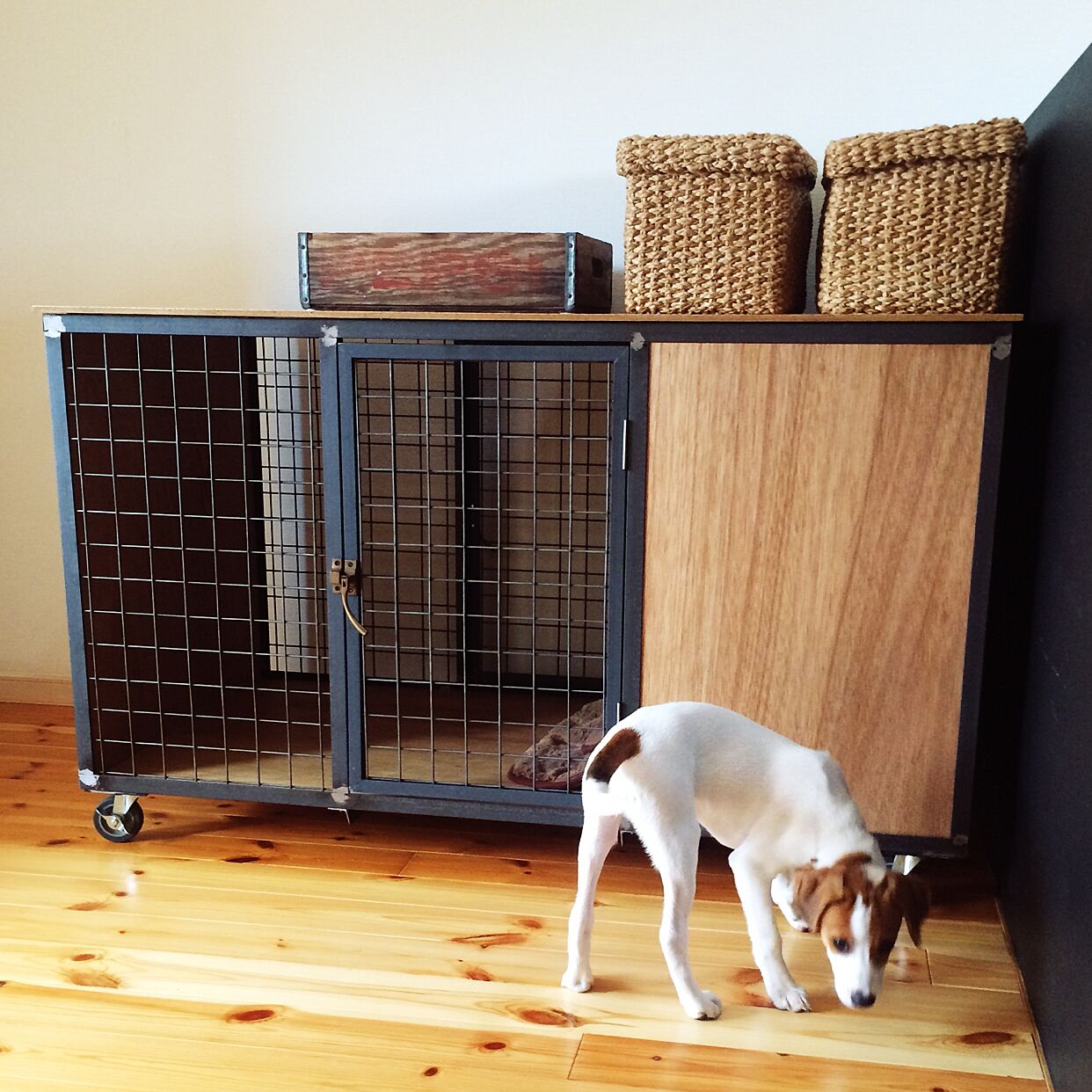 ペットも心地よく暮らせるお家へ☆室内での犬小屋DIY実例 | RoomClip