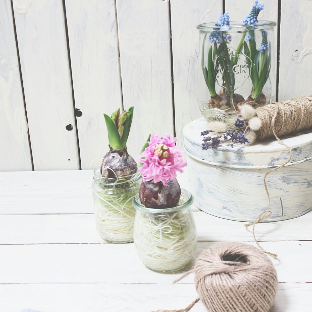 みんなが夢中 Weck活用術 Roomclip Mag 暮らしとインテリアのwebマガジン