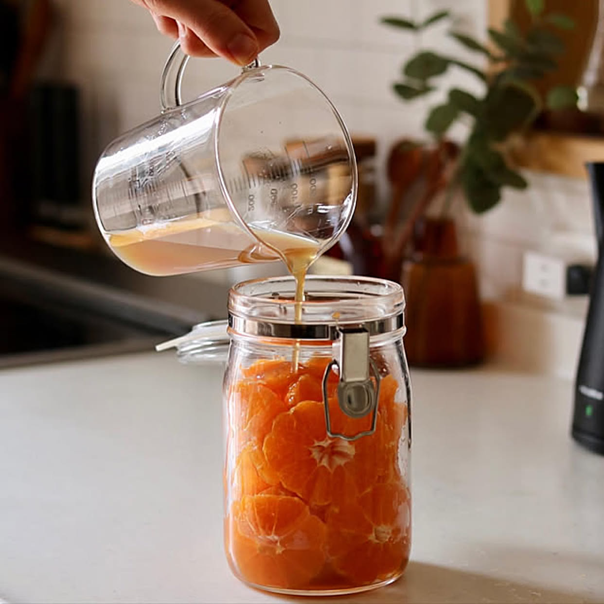 あなたにピッタリが見つかる！用途に合わせて選べる保存容器カタログ