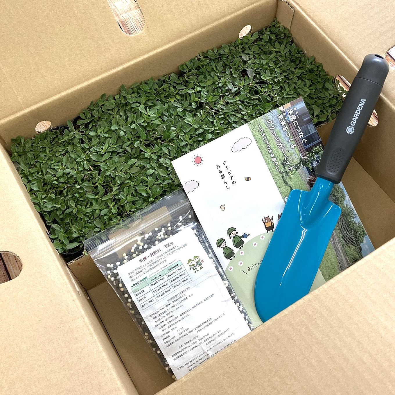 GARDENA＋クラピアK7セット（クラピアK7_10個／肥料300g／ハンドスコップ）【本州・四国】送料込