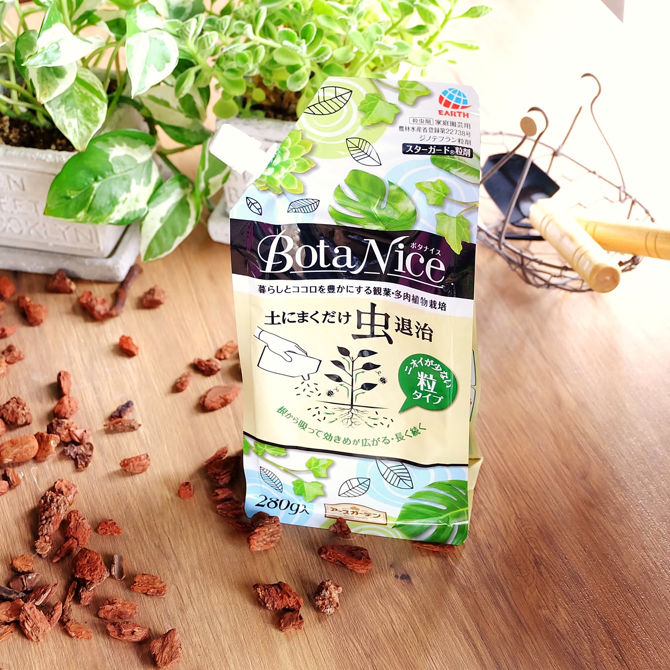 無料モニター ミニ多肉植物つき カンタン観葉 多肉植物栽培セットで 手軽にグリーンライフを始めてみませんか Roomclip Mag 暮らしとインテリアのwebマガジン 無料モニター ミニ多肉植物つき カンタン観葉 多肉植物栽培セットで 手軽にグリーンライフを始めてみませんか Roomclip Mag 暮らしとインテリアのwebマガジン