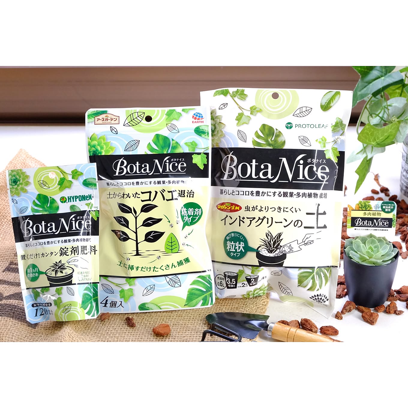 BotaNiceセット