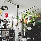 床に置かなくてもグリーンを飾れる！吊るして彩る、ハンギングプランターのある暮らし