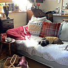 暮らしを彩り暮らしに寄り添う♪ニトリでおすすめのインテリア雑貨をご紹介