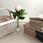 お好みの素材とサイズが選べる♪使い心地抜群の無印良品のタオル