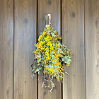 【今週の〇〇】テーマは「植物のある暮らし」！最新の投稿写真をピックアップ