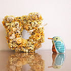 【みんなが選んだ！】使い勝手もデザインも妥協しない！醤油差し4選