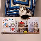 「工具なしでOK！ワイヤーネットでつくるマガジンラック」 by maruwataroさん