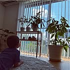 「植物のある暮らしを洗練してくれる、室内用プラントスタンド」 by sanaさん