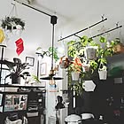 床に置かなくてもグリーンを飾れる！吊るして彩る、ハンギングプランターのある暮らし