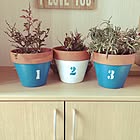 DIYで大変身！ダイソーの植木鉢を使ったリメイクアイデア集