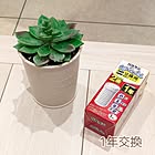 【暮らしのマイルール】交換日を決めて快適キープ！「交換モノ」を暮らしにラクに取り入れる4つのルール by mi-saさん