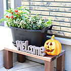 この季節ならではの楽しみ方を♪グリーン＆お花と飾るハロウィン