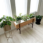 お部屋すっきり＆植物も元気に♪観葉植物の配置やレイアウトの工夫