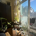 【今週の〇〇】テーマは「植物のある暮らし」！最新の投稿写真をピックアップ