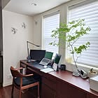 インテリアにフレッシュな彩りを♪ドウダンツツジのあるお部屋6選