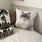 お部屋や用途に合わせて選ぶ♪ニトリのクッションカバーがある暮らし