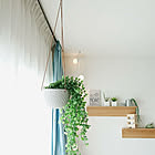 本物そっくりで種類も豊富！お値段以上なニトリのフェイクグリーン