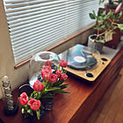 【今週の〇〇】テーマは「植物のある暮らし」！最新の投稿写真をピックアップ