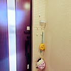「ワイヤーラティスでつくる、壁掛け収納スペース」 by aco_zgさん