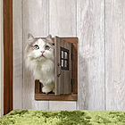 猫ちゃんのための特別な扉♡今すぐ参考にしたい猫ドア10選