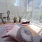 もう虫に悩まされたくない！参考にしたい、みんなの虫よけ＆虫対策