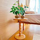 【今週の〇〇】テーマは「植物のある暮らし」！最新の投稿写真をピックアップ