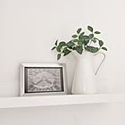花のある暮らしはじめませんか？IKEAの花瓶で憧れの空間をコーディネート