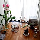 【わが家のおすすめ4選】インテリアからお掃除ツールまで。デザインと実用性が光るアイテム by Mutsukiさん