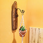 植物好きさんもインテリア好きさんも必見☆ダイソーの鉢植えをもっと自分らしく楽しむリメイクやDIYアイデア
