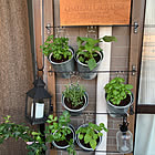 おうちグリーンをもっと楽しみたいあなたへ♪植物×DIYがおすすめ