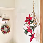 さりげなく飾って空間を心地よく！ダイソーのテラリウムオーナメントを使ったDIYアイデア集