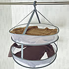 洗濯の「干す」がこんなにラクに♪ニトリの便利な物干しアイテム6選