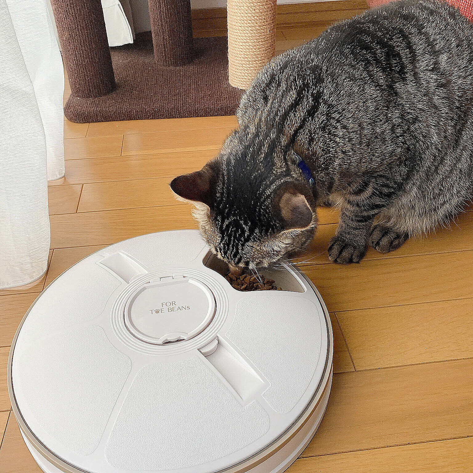 その他の動物のインテリア・その他の動物の家具