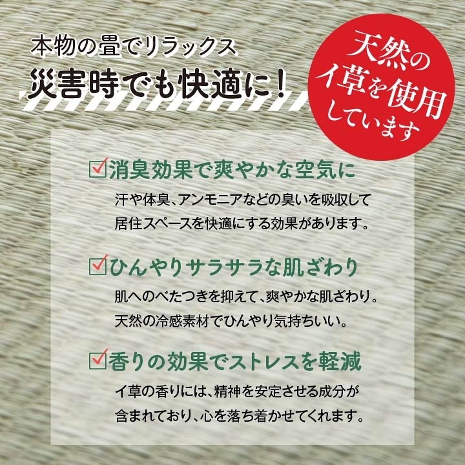 畳ベッド