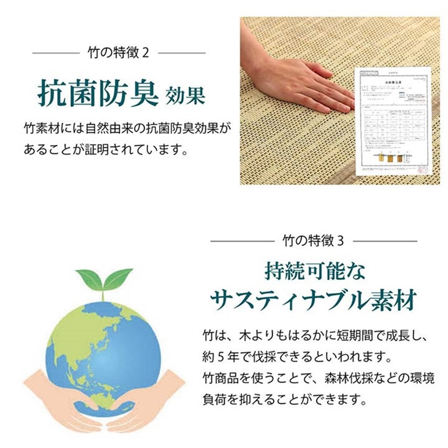 ござ・い草ラグ
