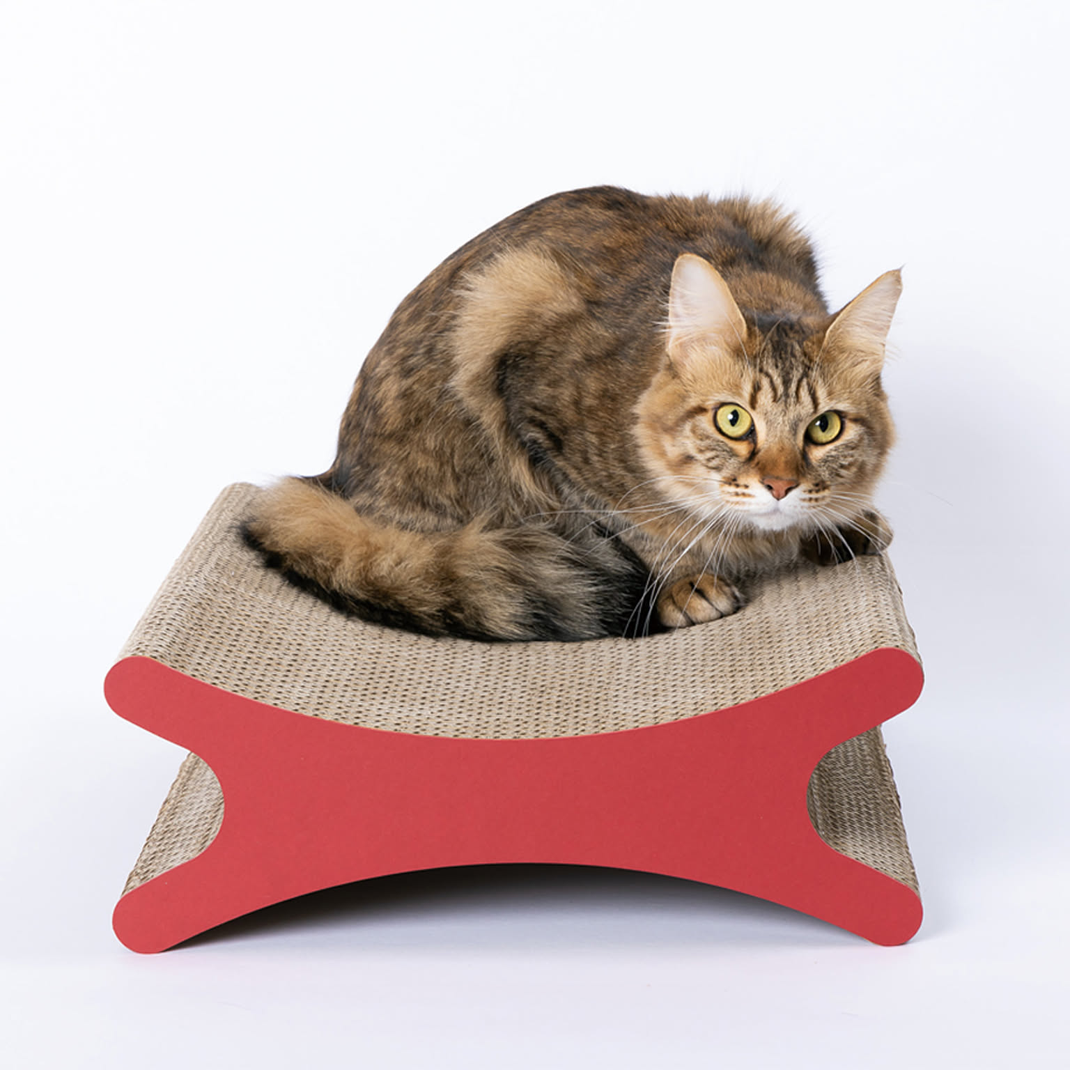 猫用インテリア・猫用家具