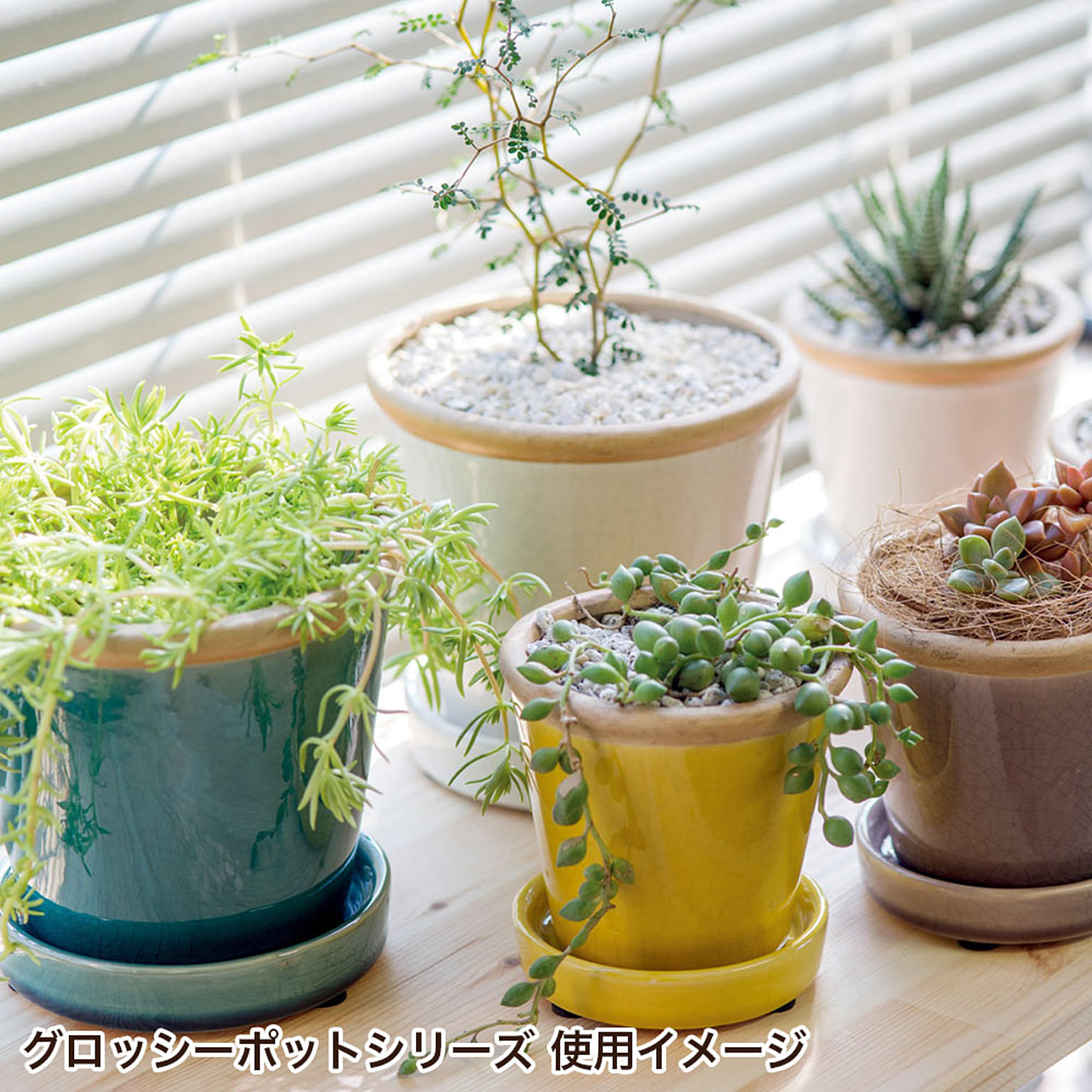 プランター・植木鉢