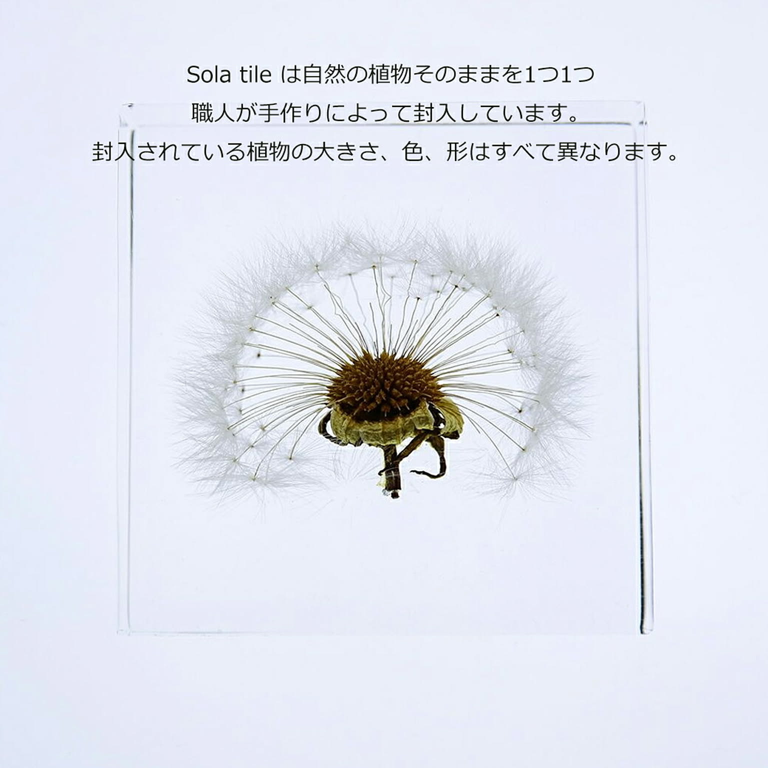 置物・オブジェ