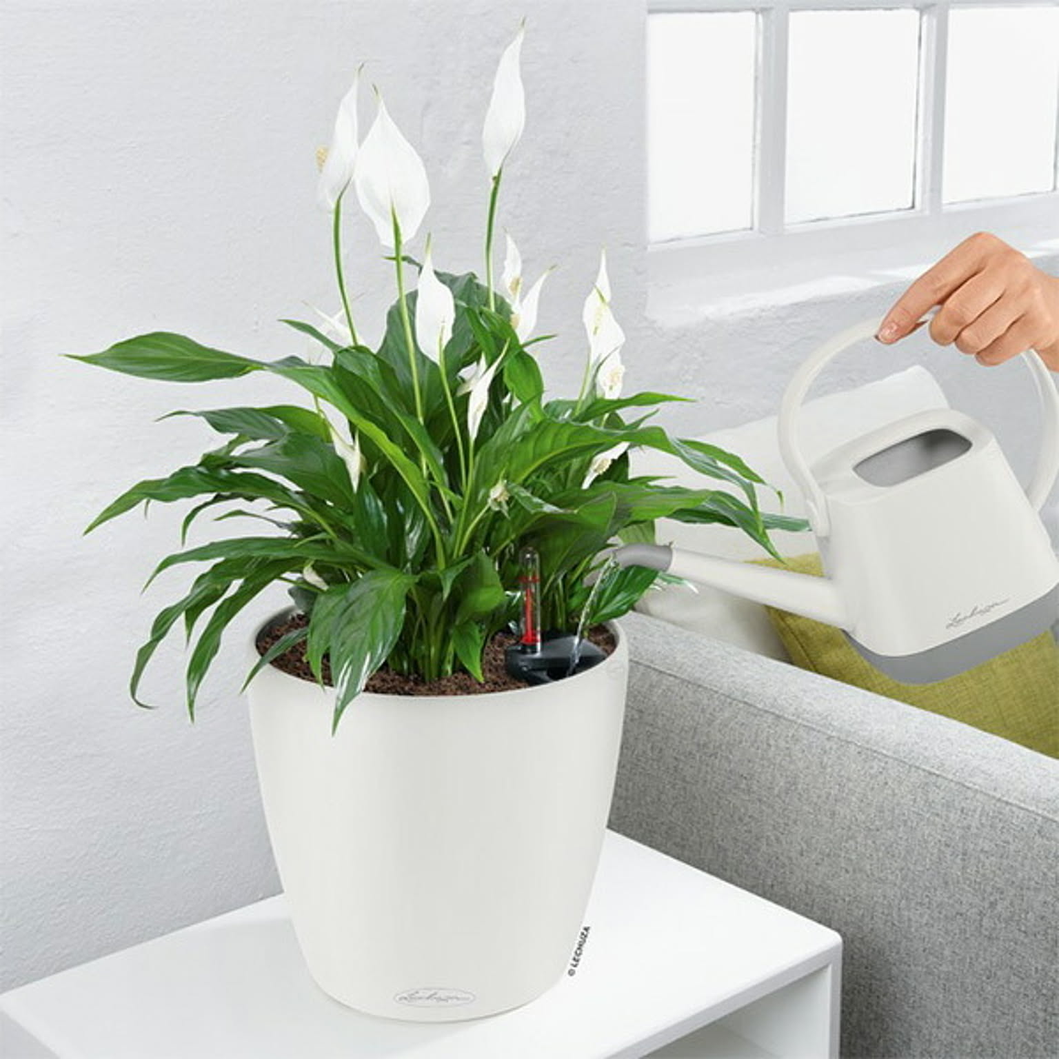 プランター・植木鉢