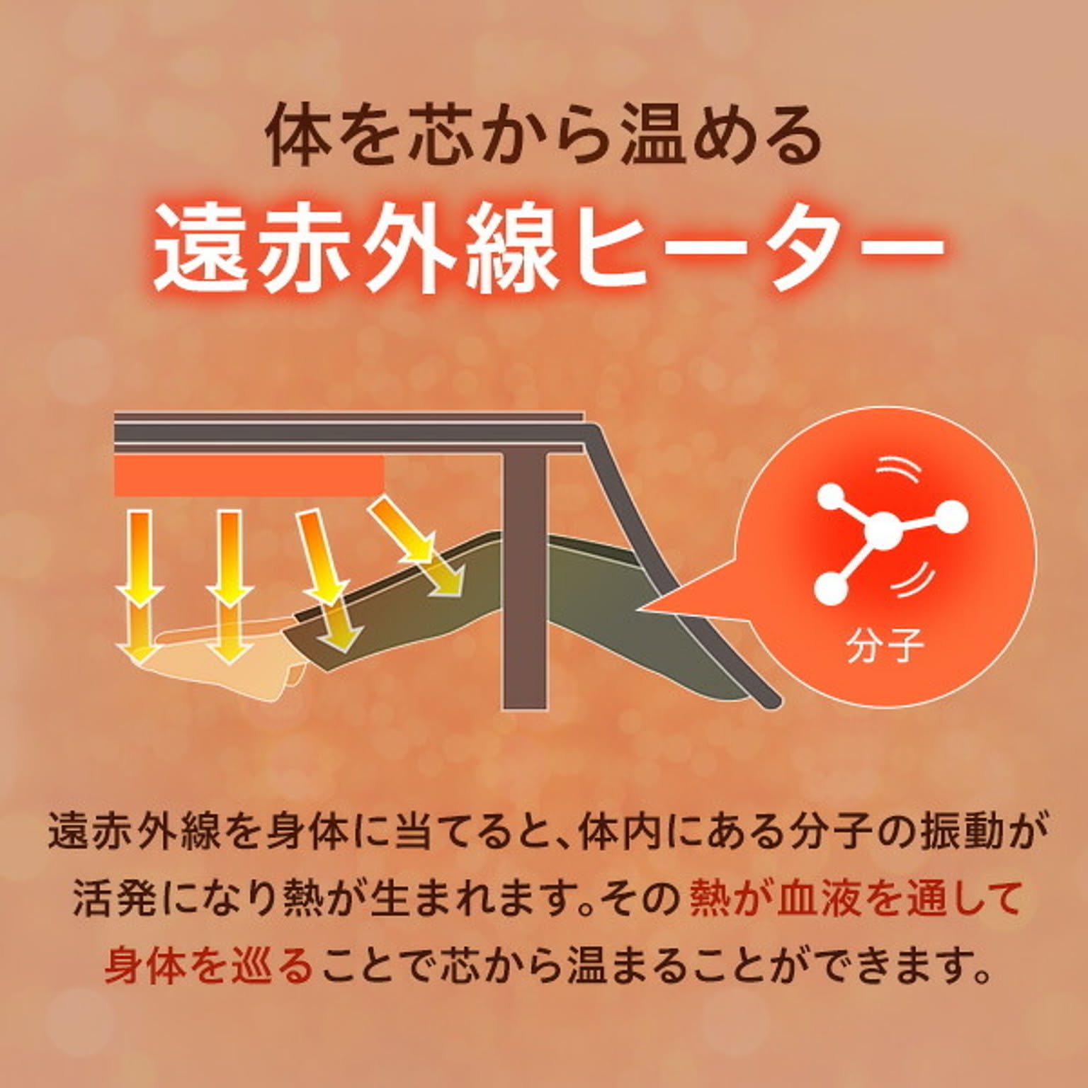 こたつ