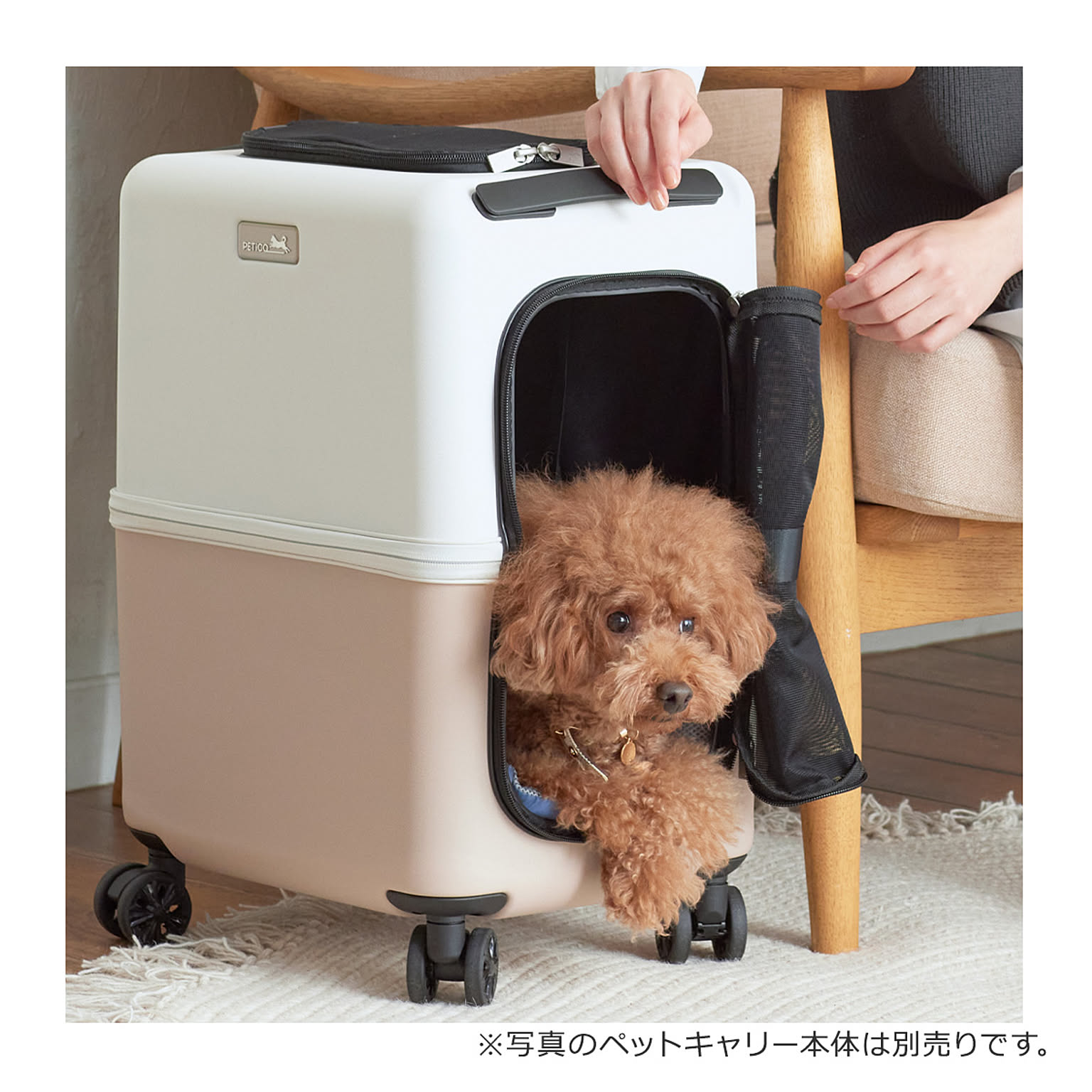 犬用インテリア・犬用家具