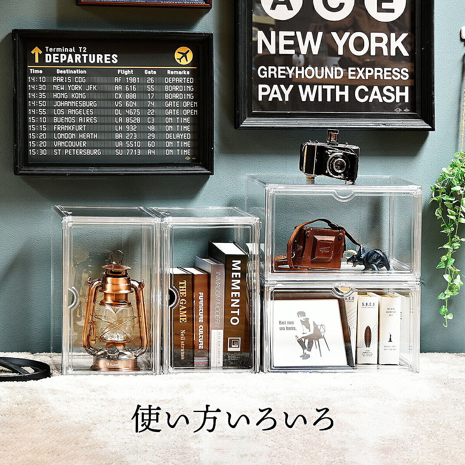 コレクションケース