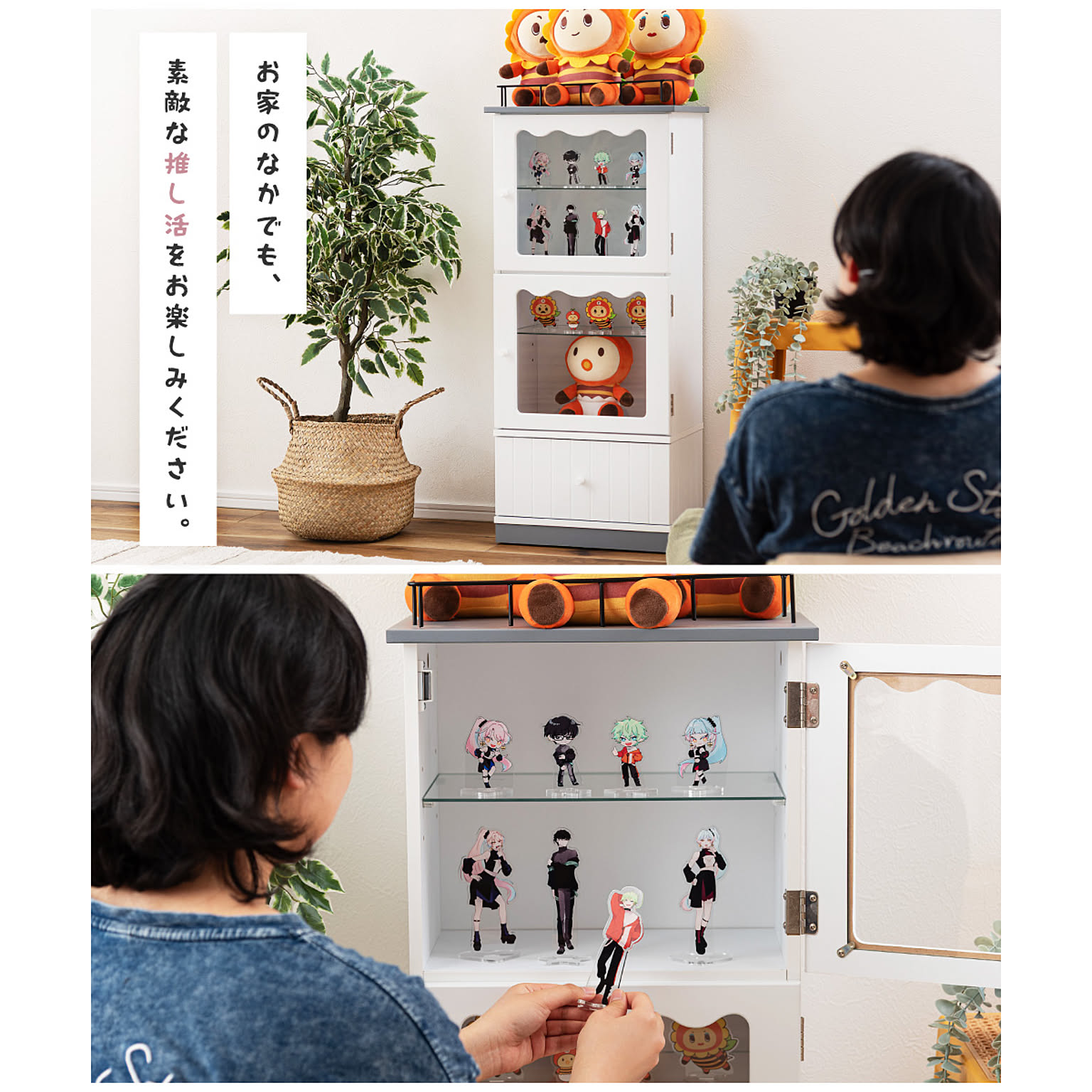 コレクションケース