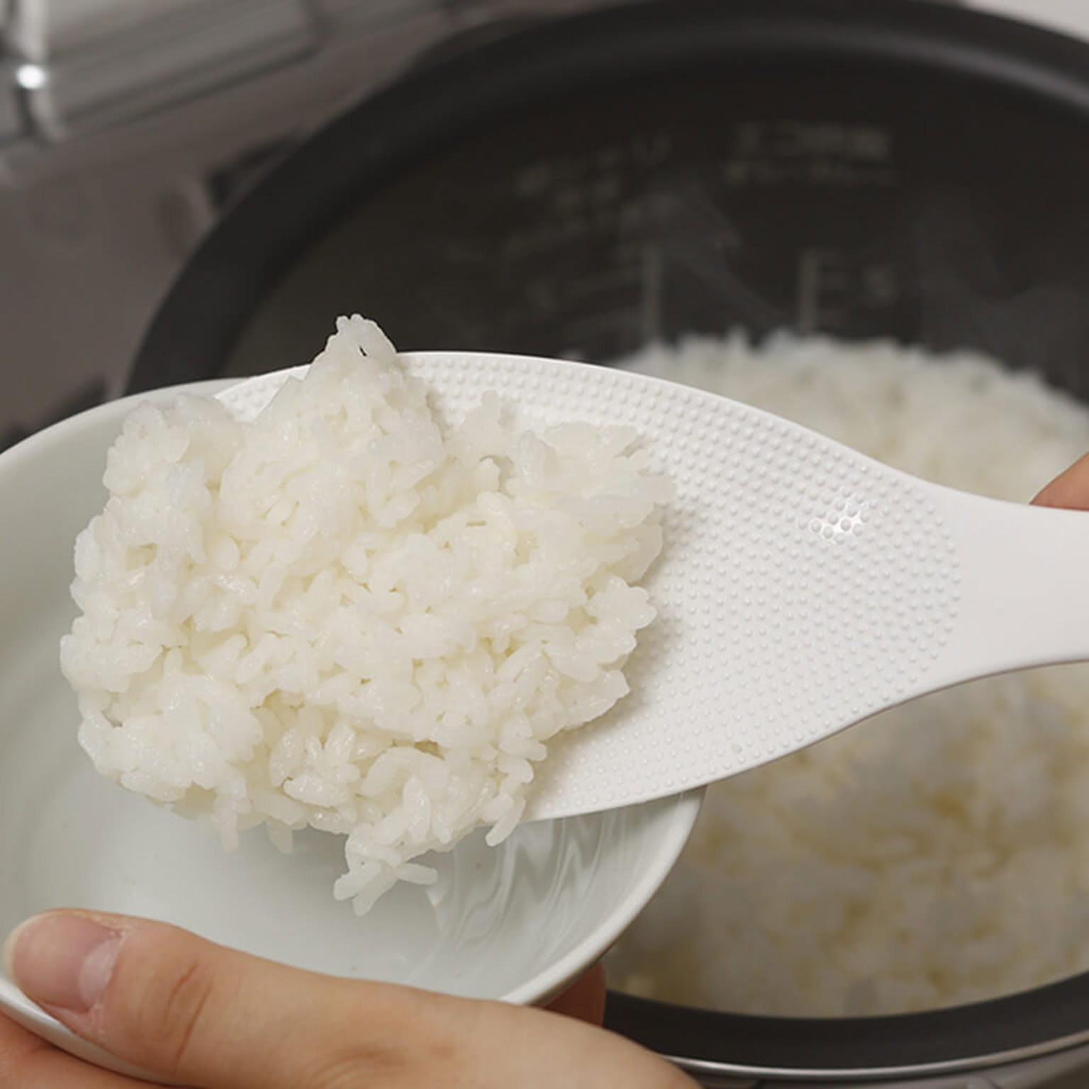しゃもじ