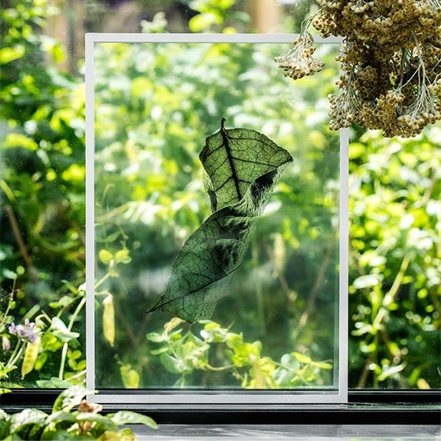 ポスター・ポスターフレーム